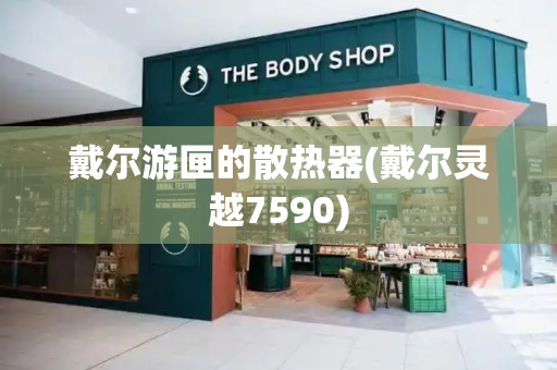 戴尔游匣的散热器(戴尔灵越7590)