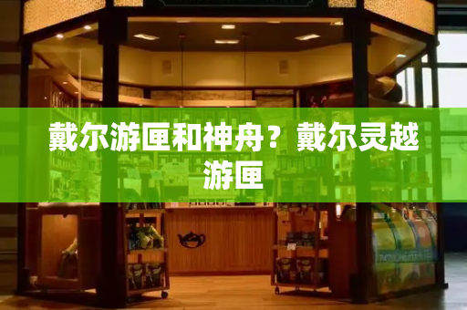 戴尔游匣和神舟？戴尔灵越游匣