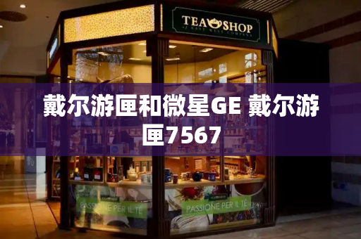 戴尔游匣和微星GE 戴尔游匣7567