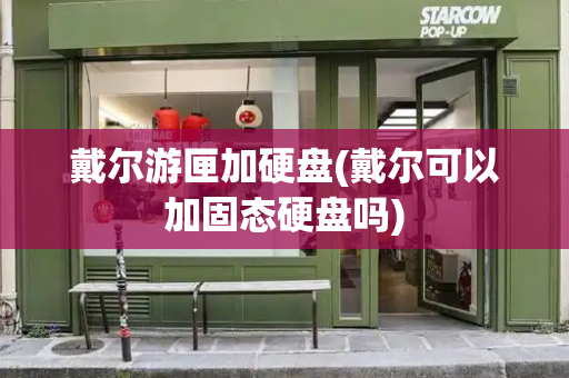 戴尔游匣加硬盘(戴尔可以加固态硬盘吗)-第1张图片-星选测评