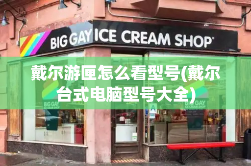 戴尔游匣怎么看型号(戴尔台式电脑型号大全)