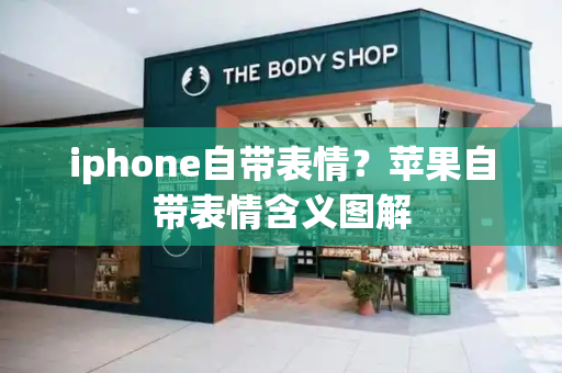 iphone自带表情？苹果自带表情含义图解