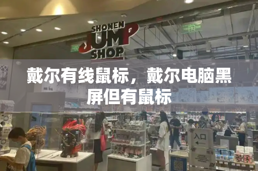 戴尔有线鼠标，戴尔电脑黑屏但有鼠标
