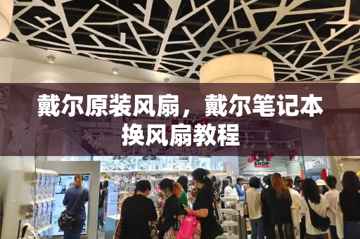 戴尔原装风扇，戴尔笔记本换风扇教程