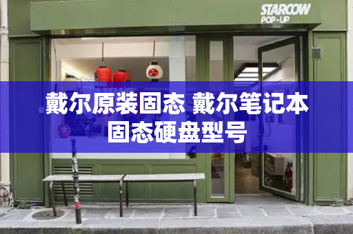 戴尔原装固态 戴尔笔记本固态硬盘型号-第1张图片-星选测评