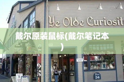 戴尔原装鼠标(戴尔笔记本)
