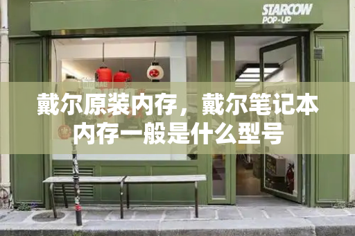 戴尔原装内存，戴尔笔记本内存一般是什么型号-第1张图片-星选测评