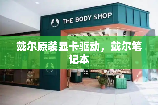 戴尔原装显卡驱动，戴尔笔记本-第1张图片-星选测评