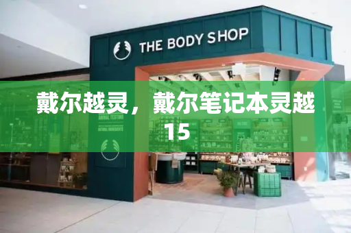 戴尔越灵，戴尔笔记本灵越15-第1张图片-星选测评