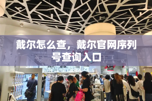 戴尔怎么查，戴尔官网序列号查询入口