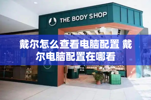 戴尔怎么查看电脑配置 戴尔电脑配置在哪看-第1张图片-星选测评