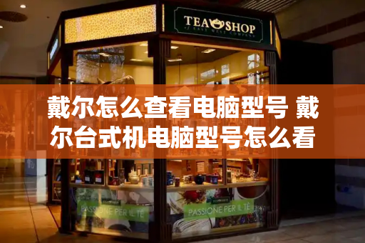 戴尔怎么查看电脑型号 戴尔台式机电脑型号怎么看-第1张图片-星选测评