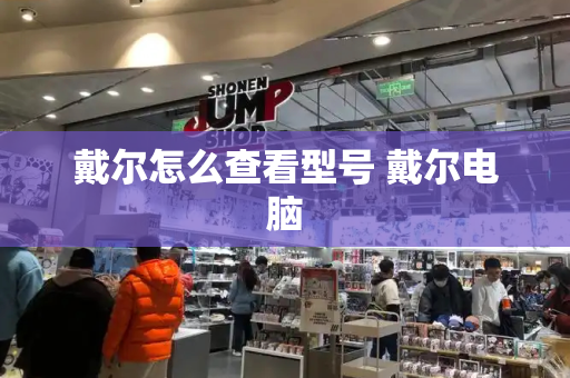 戴尔怎么查看型号 戴尔电脑-第1张图片-星选测评