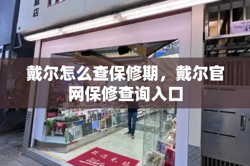 戴尔怎么查保修期，戴尔官网保修查询入口-第1张图片-星选测评