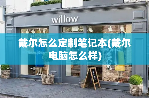戴尔怎么定制笔记本(戴尔电脑怎么样)-第1张图片-星选测评