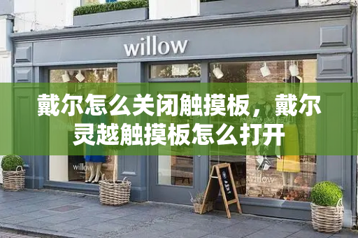 戴尔怎么关闭触摸板，戴尔灵越触摸板怎么打开-第1张图片-星选测评