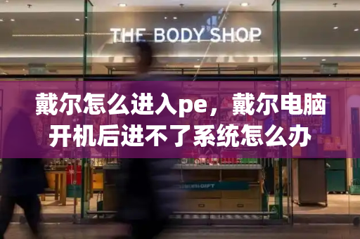 戴尔怎么进入pe，戴尔电脑开机后进不了系统怎么办-第1张图片-星选测评