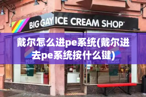 戴尔怎么进pe系统(戴尔进去pe系统按什么键)-第1张图片-星选测评