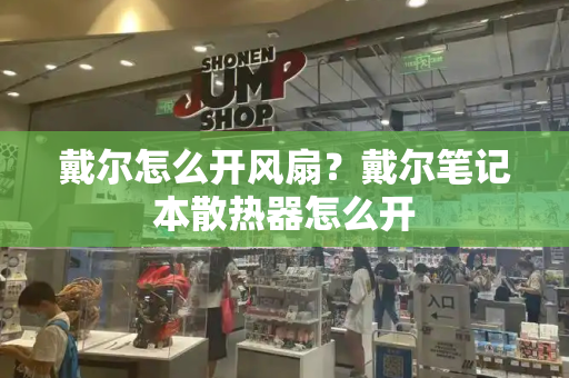戴尔怎么开风扇？戴尔笔记本散热器怎么开