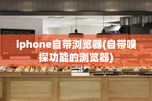 iphone自带浏览器(自带嗅探功能的浏览器)-第1张图片-星选测评