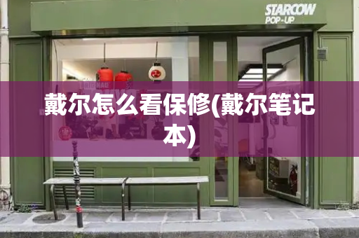 戴尔怎么看保修(戴尔笔记本)-第1张图片-星选测评