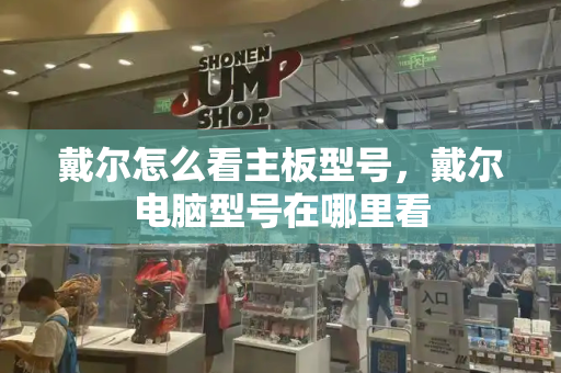 戴尔怎么看主板型号，戴尔电脑型号在哪里看-第1张图片-星选测评
