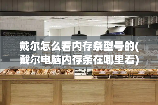 戴尔怎么看内存条型号的(戴尔电脑内存条在哪里看)-第1张图片-星选测评