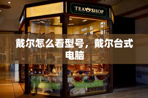 戴尔怎么看型号，戴尔台式电脑-第1张图片-星选测评