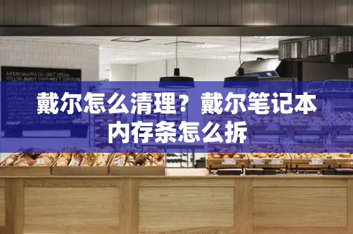 戴尔怎么清理？戴尔笔记本内存条怎么拆-第1张图片-星选测评