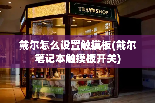 戴尔怎么设置触摸板(戴尔笔记本触摸板开关)