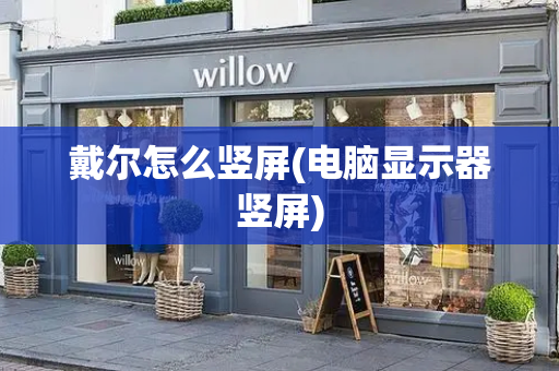 戴尔怎么竖屏(电脑显示器竖屏)-第1张图片-星选测评