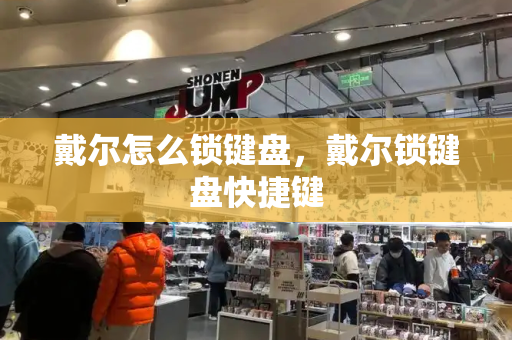 戴尔怎么锁键盘，戴尔锁键盘快捷键