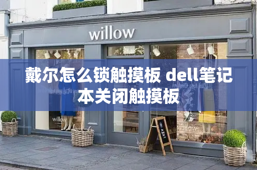 戴尔怎么锁触摸板 dell笔记本关闭触摸板
