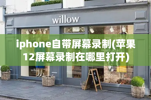 iphone自带屏幕录制(苹果12屏幕录制在哪里打开)