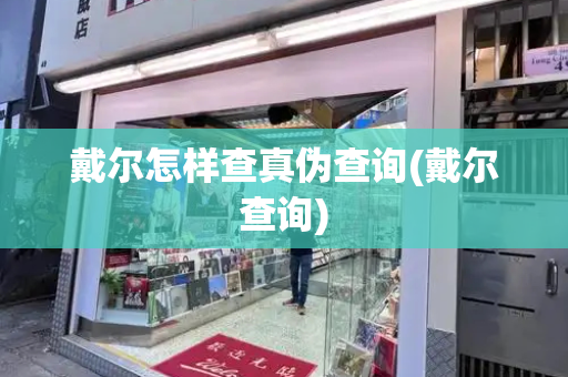 戴尔怎样查真伪查询(戴尔查询)-第1张图片-星选测评