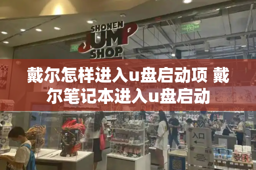 戴尔怎样进入u盘启动项 戴尔笔记本进入u盘启动