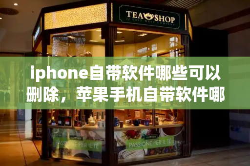 iphone自带软件哪些可以删除，苹果手机自带软件哪些可以删除