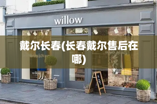 戴尔长春(长春戴尔售后在哪)
