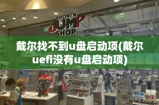 戴尔找不到u盘启动项(戴尔uefi没有u盘启动项)