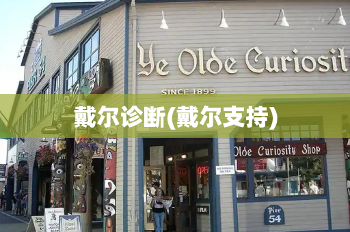 戴尔诊断(戴尔支持)