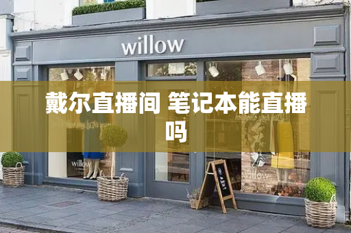 戴尔直播间 笔记本能直播吗-第1张图片-星选测评