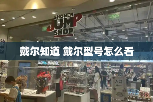 戴尔知道 戴尔型号怎么看-第1张图片-星选测评
