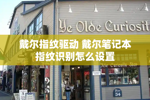 戴尔指纹驱动 戴尔笔记本指纹识别怎么设置-第1张图片-星选测评