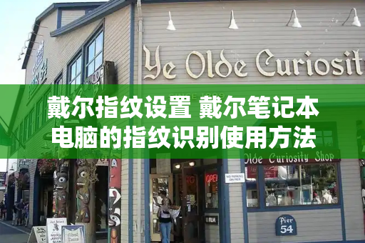 戴尔指纹设置 戴尔笔记本电脑的指纹识别使用方法
