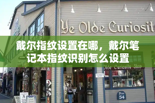 戴尔指纹设置在哪，戴尔笔记本指纹识别怎么设置-第1张图片-星选测评