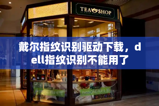 戴尔指纹识别驱动下载，dell指纹识别不能用了-第1张图片-星选测评