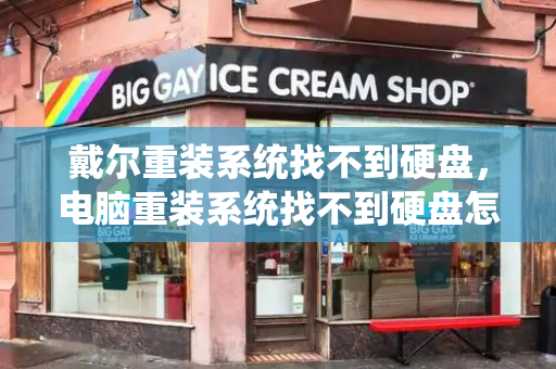戴尔重装系统找不到硬盘，电脑重装系统找不到硬盘怎么办