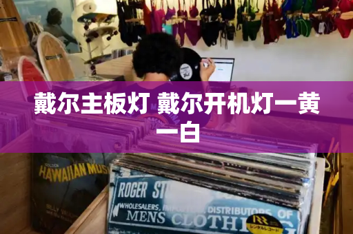 戴尔主板灯 戴尔开机灯一黄一白-第1张图片-星选测评