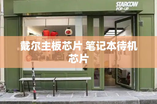 戴尔主板芯片 笔记本待机芯片-第1张图片-星选测评