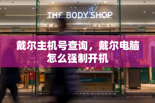 戴尔主机号查询，戴尔电脑怎么强制开机